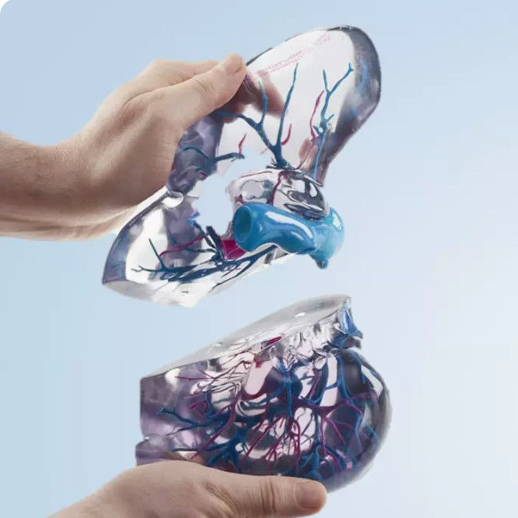 Resin materiaal volkleurige 3D-printen Polyjet voor medische prototype STL-bestanden