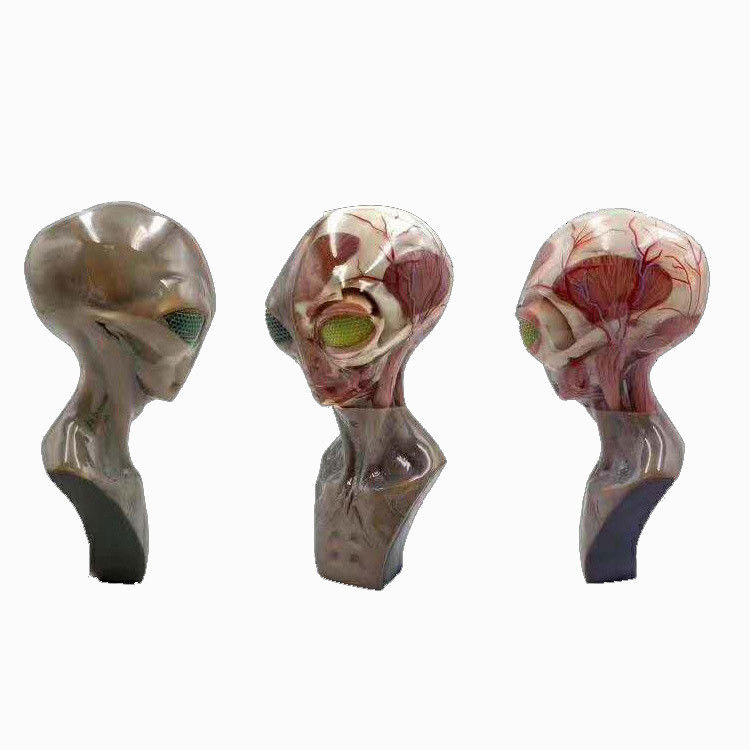 Hoogresolutie Multicolor 3D-printen Medische dienst met SLM-proces