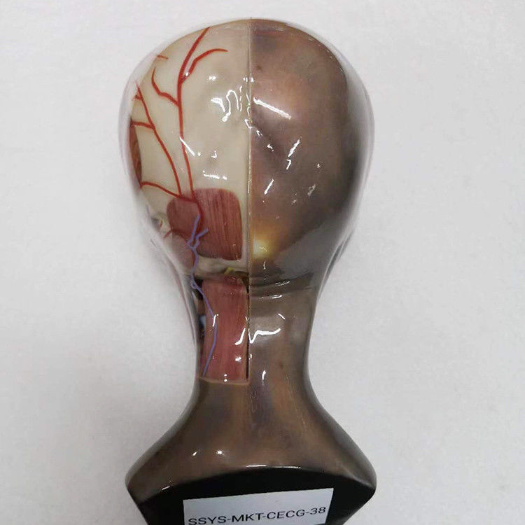 Plastic RESIN Multi Color 3D Printing Service Geïntegreerd coating oppervlak
